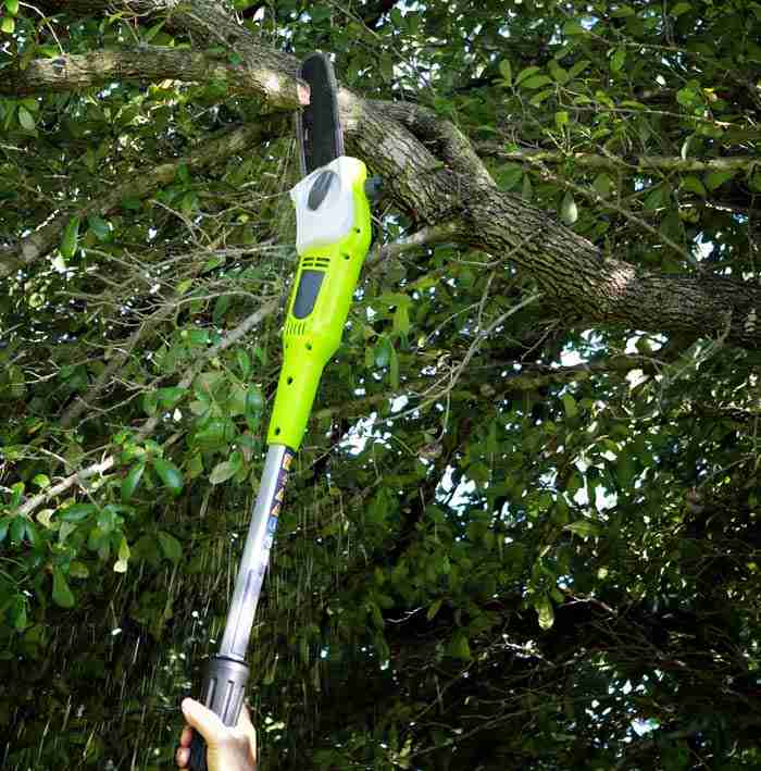Best Pole Saws