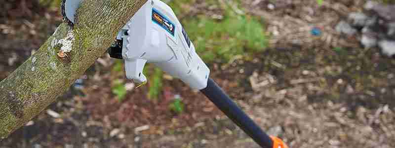 best pole saws